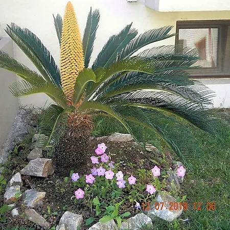 Hotel Amari Ormilia